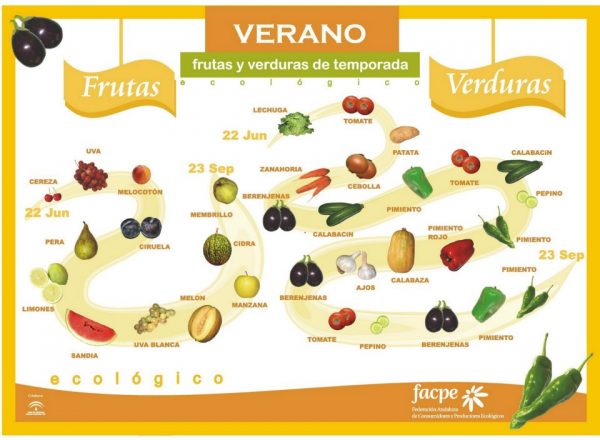 frtas y verduras verano