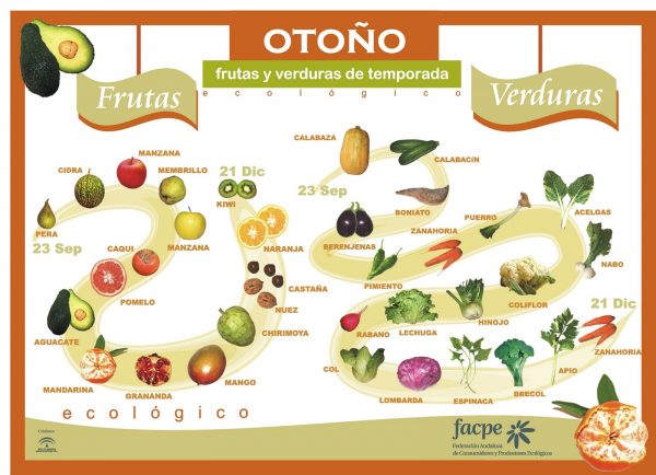frutas y verduras otoño